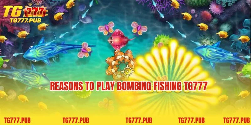 Reasons to play Bombing Fishing TG777