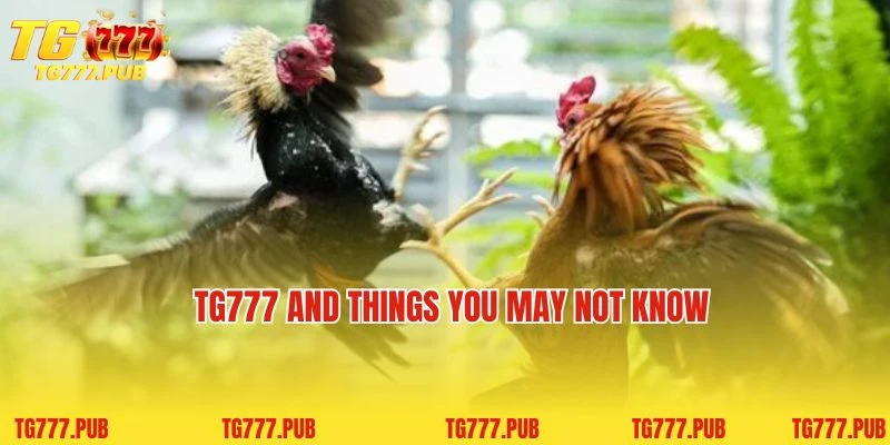 TG777 and things you may not know