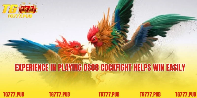 Experience in playing DS88 Cockfight helps win easily