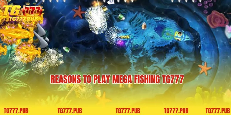 Reasons to play Mega Fishing TG777