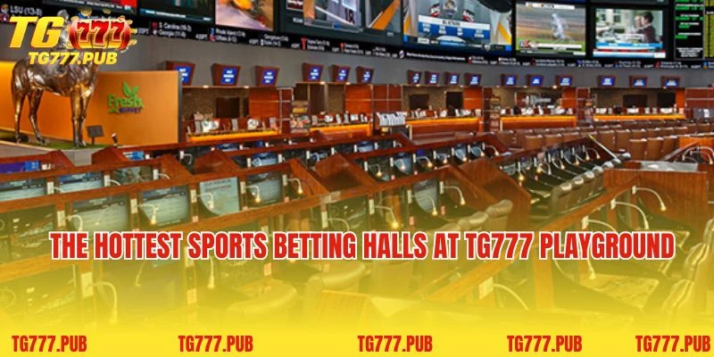 The hottest sports betting halls at TG777 playground