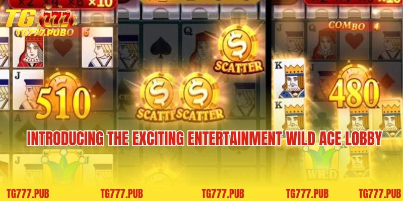 Introducing the exciting entertainment Wild Ace lobby