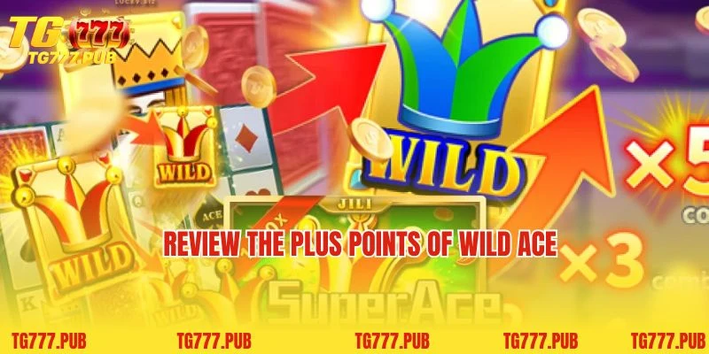 Review the plus points of Wild Ace