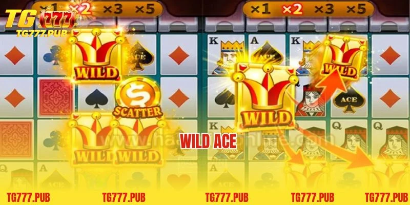 Wild Ace